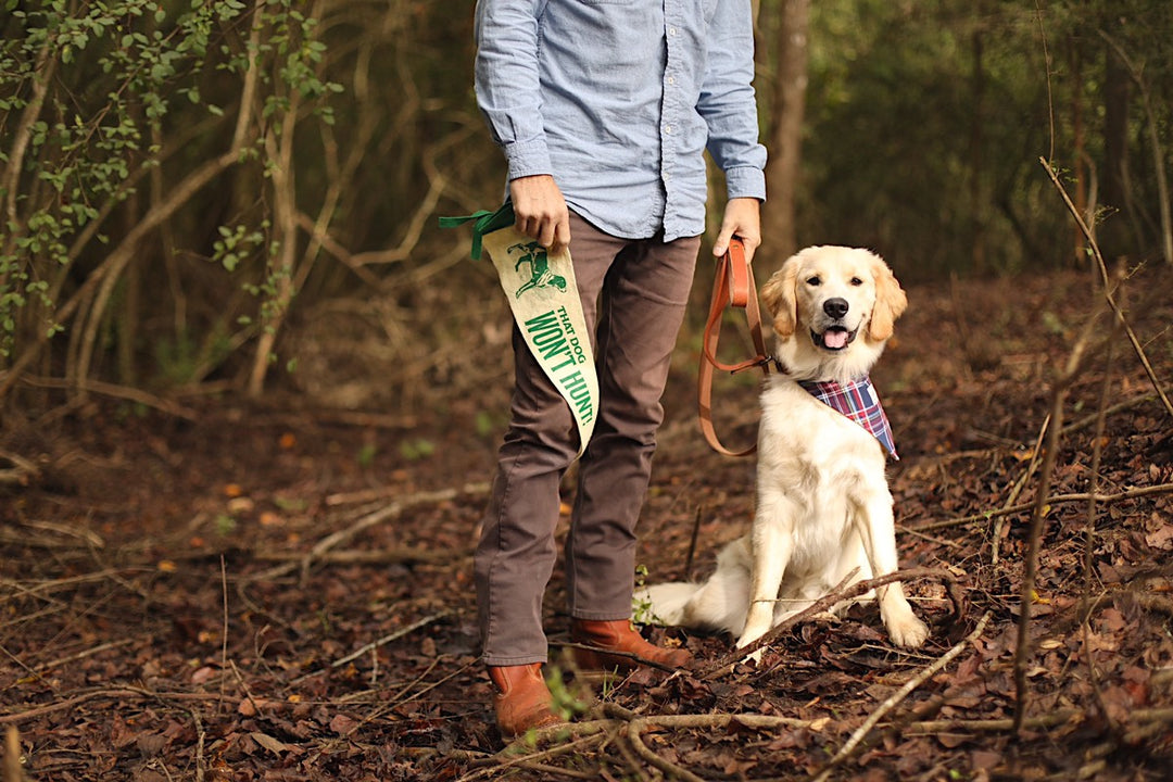 That Dog Won't Hunt