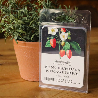 Ponchatoula Strawberry Wax Melt