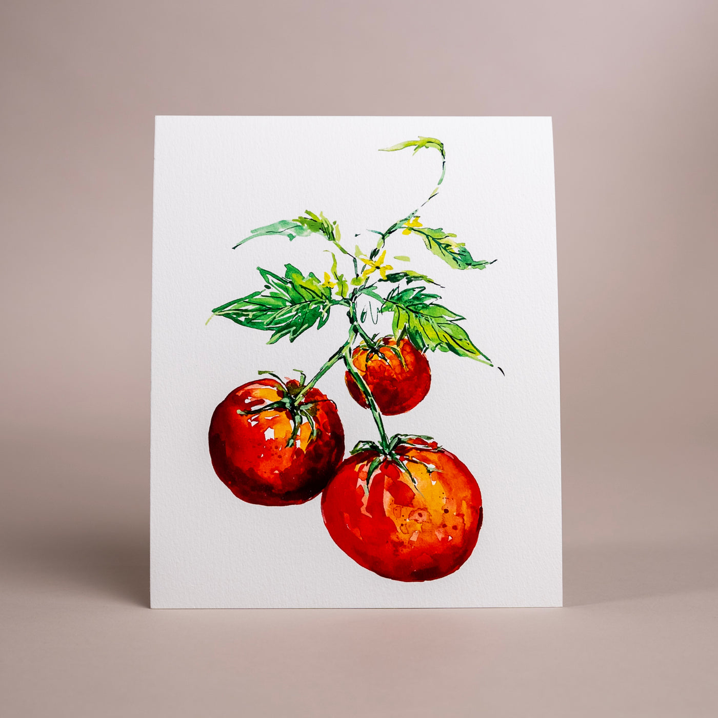 Tomatoes Art Print