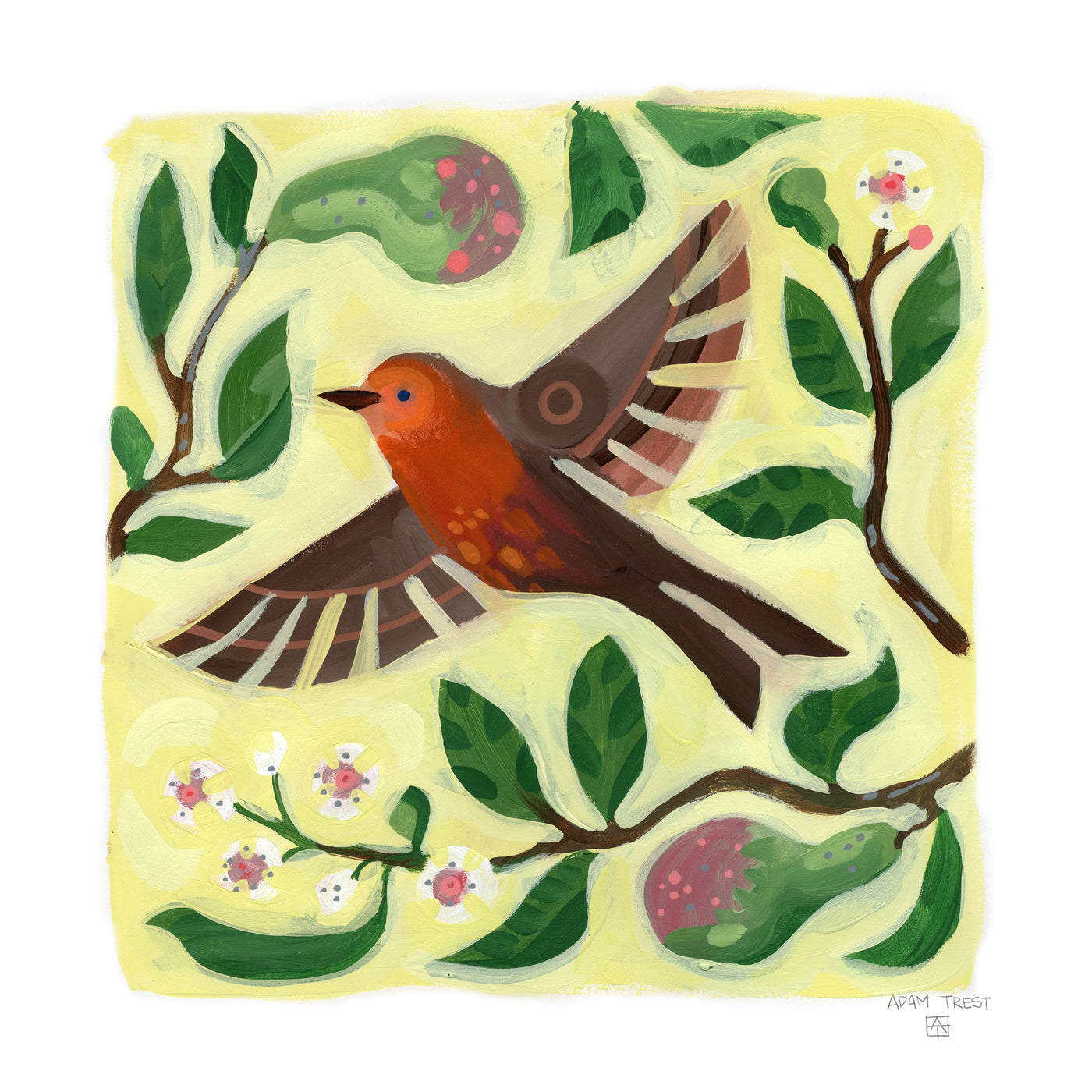 Adam Trest Songbird Symphony | Pear Robin Print