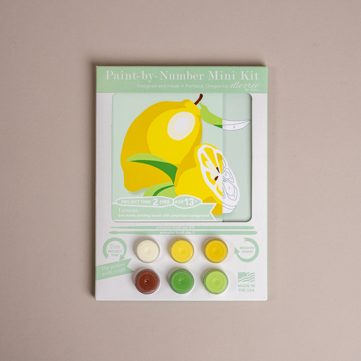 Lemons Mini Paint-by-Number Kit