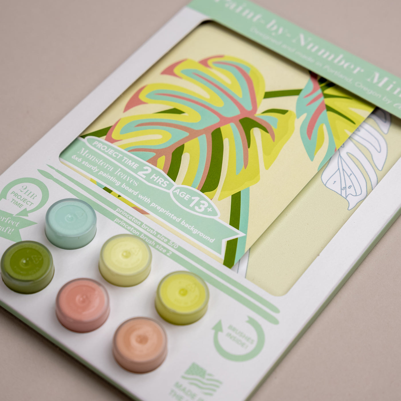 Monstera Leaves Mini Paint-by-Number Kit