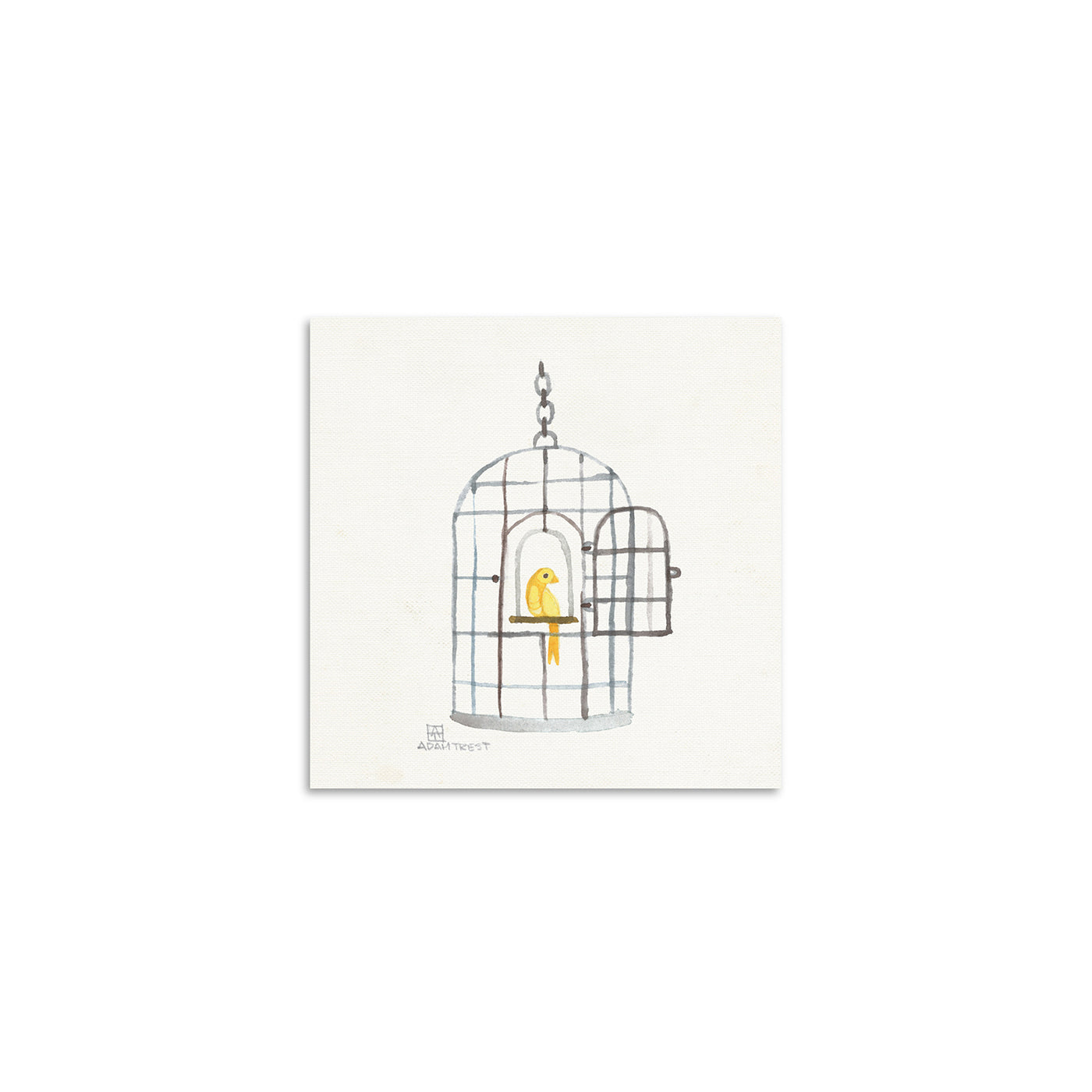 Adam Trest Tiny Art | Birdcage Print