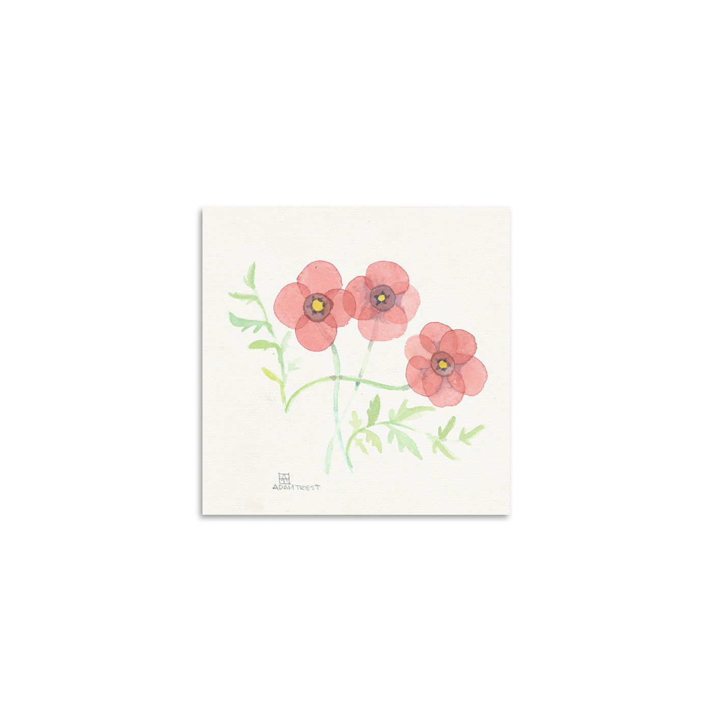 Adam Trest Tiny Art | Poppy Print