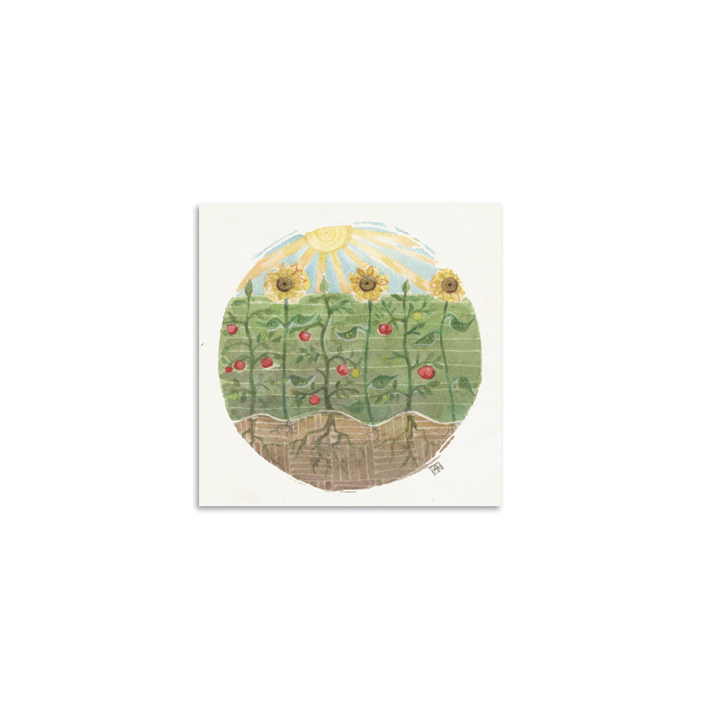 Adam Trest Tiny Art | Sunflowers Print