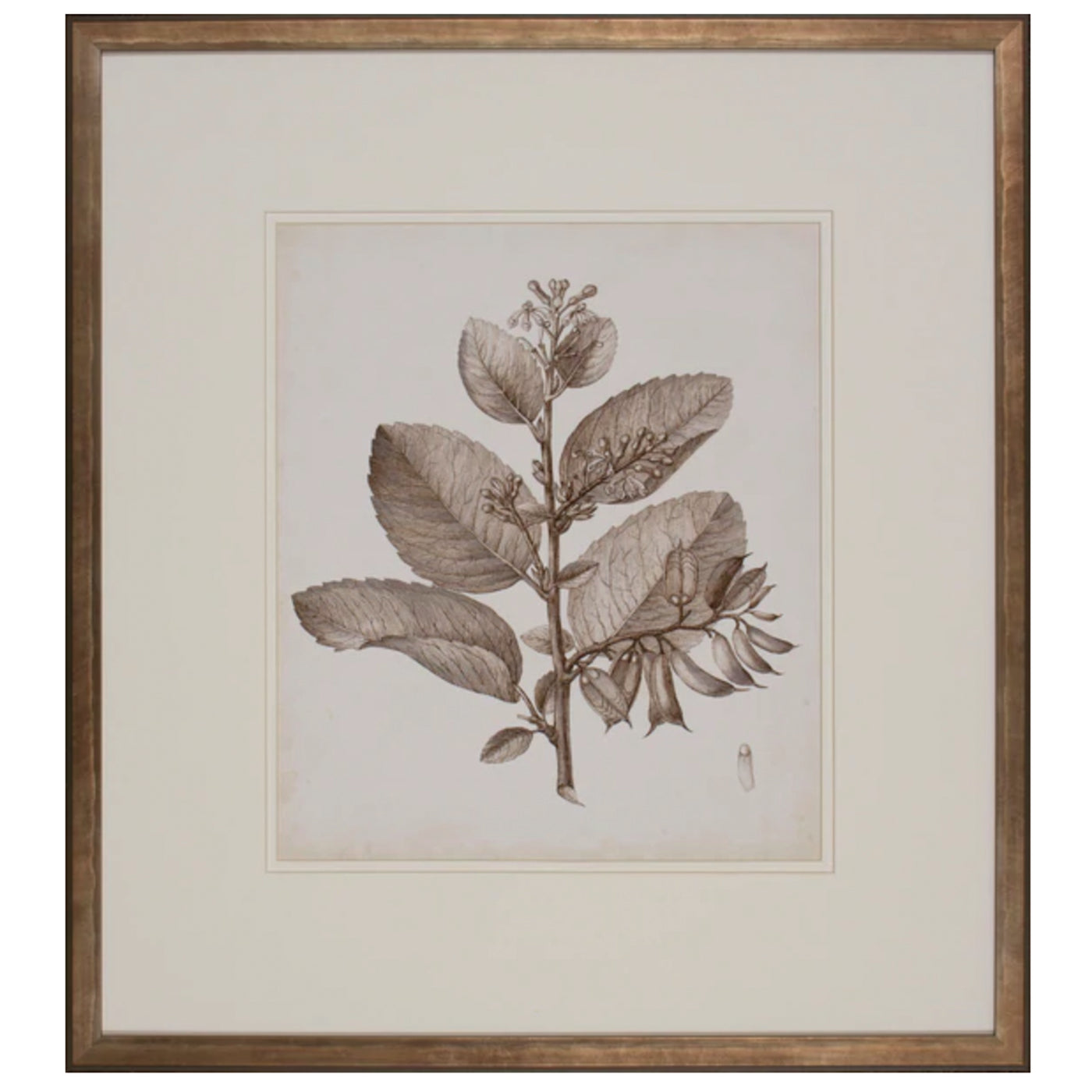 Antique Sepia Botanical V