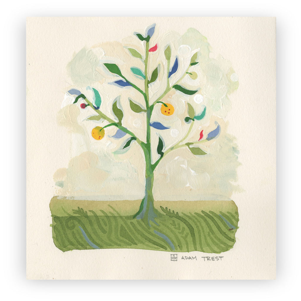orangetreesapling_1024x1024.